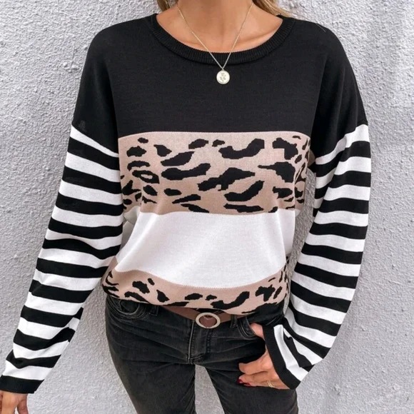 Striped Color Block Leopard Sweater - Picture 3 of 7